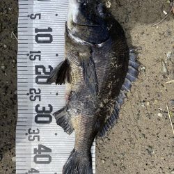 イチノ兄弟、釣果!