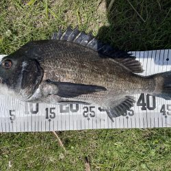 イチノ兄弟、釣果!