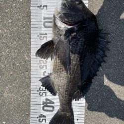 イチノ兄弟、釣果!