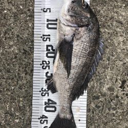 イチノ兄弟、釣果!