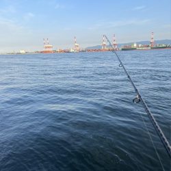 ツバス モジャコ