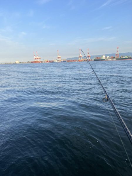 ツバス モジャコ