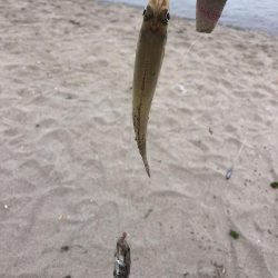 サーフからのキス