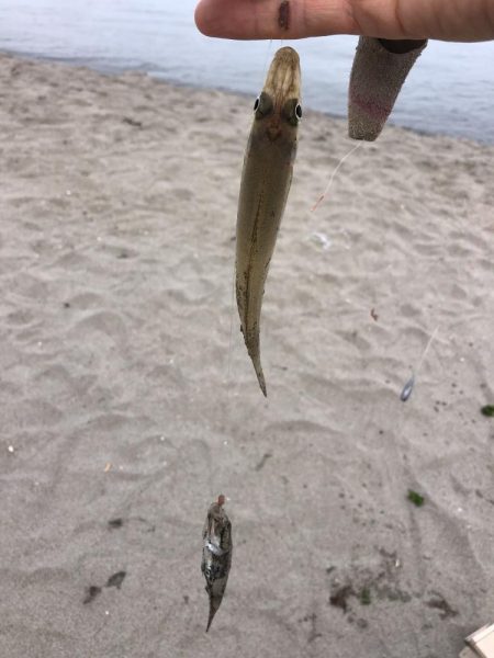 サーフからのキス