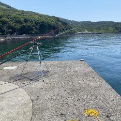 大川漁港カワハギ、ガシラ