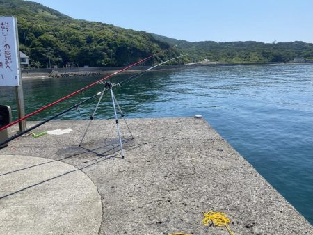 大川漁港カワハギ、ガシラ