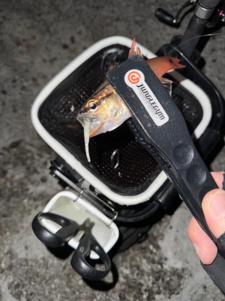 ロックアジング