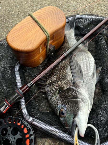 ヘチってきました