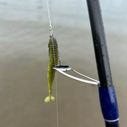 トップで釣るはずが！