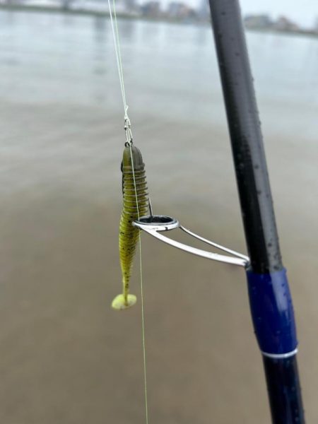 トップで釣るはずが！