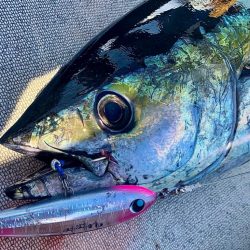 キハダキャスティング