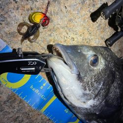 淀川ブリームゲーム