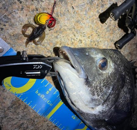 淀川ブリームゲーム