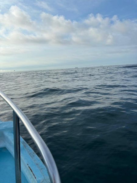 伊勢湾ジギング