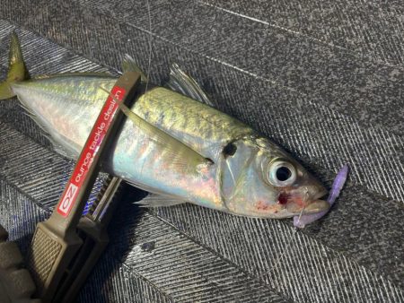 バチコンゲームを堪能