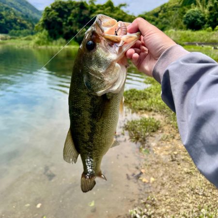 久しぶりのホームレイク