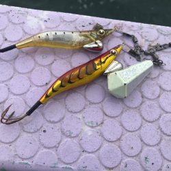 室津のフグタコ便