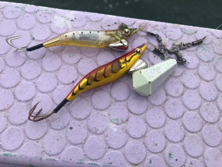 室津のフグタコ便