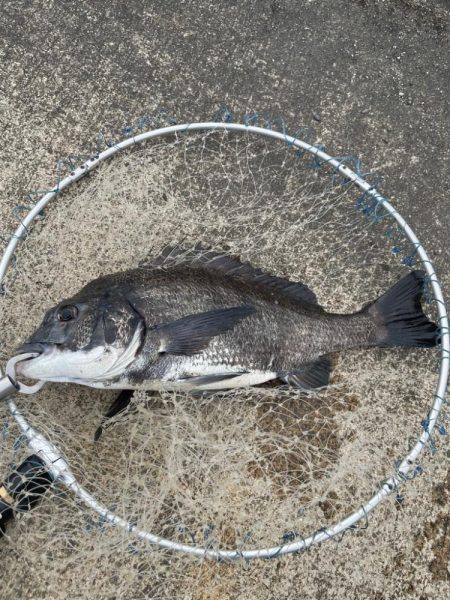 午後の落とし込み