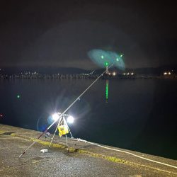 キス釣り(引き釣り)