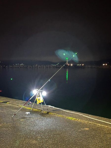 キス釣り(引き釣り)