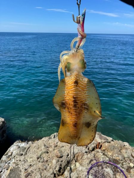 ちょこっとエギング