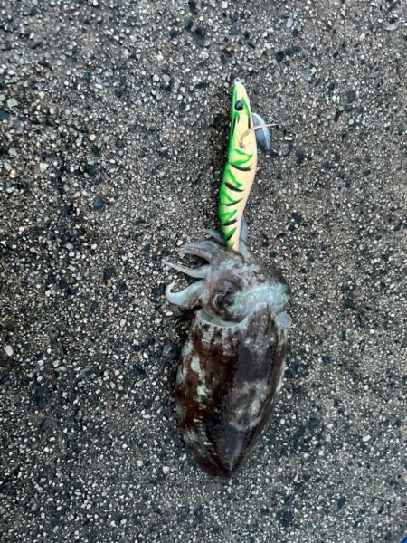 社員旅行中にて