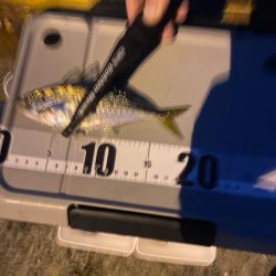 渋いながらもなんとからつ抜け