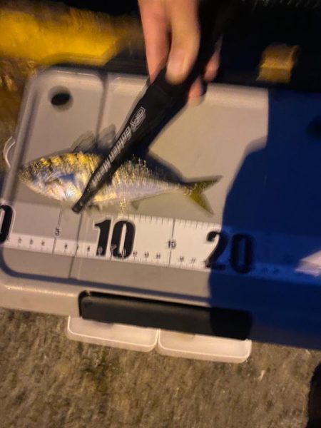 渋いながらもなんとからつ抜け