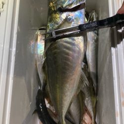 暑すぎ注意|(￣3￣)|