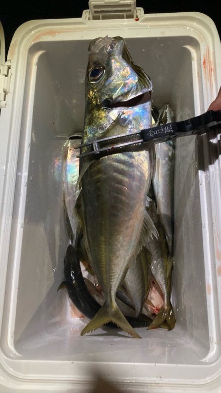 暑すぎ注意|(￣3￣)|