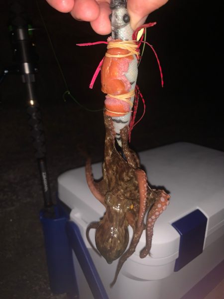 どうなってるの？