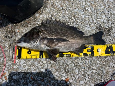 帽子は忘れずに