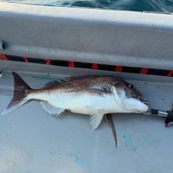 昼からぶらっと♪