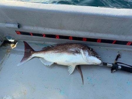 昼からぶらっと♪