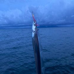 タチウオ、アジ