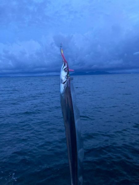 タチウオ、アジ