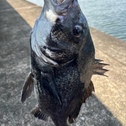 ヘチってきました