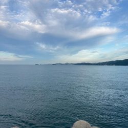 二週ぶりのアタリ