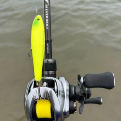 約1ヶ月ぶりにDETA!