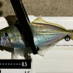 A地点〜B地点へ、ランガン🎣