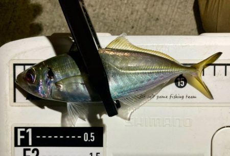 A地点〜B地点へ、ランガン🎣