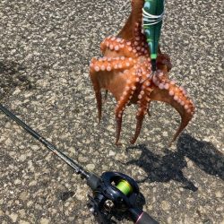 ⭐️擦られすぎ