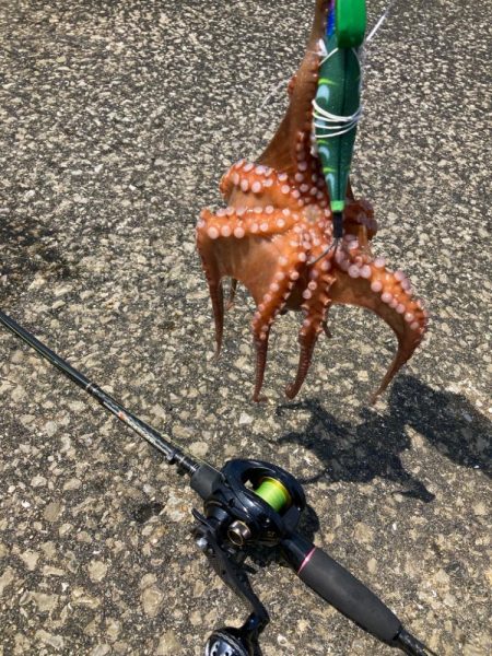 ⭐️擦られすぎ