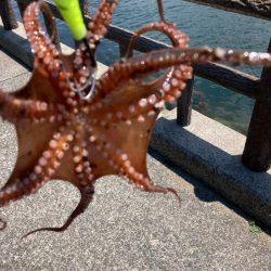 ⭐️サイズアップ求めて