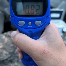 サクッと朝マヅメのみ短時間勝負