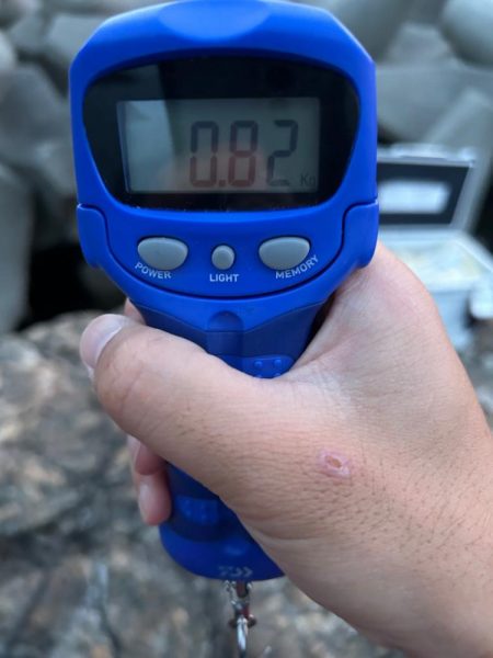 サクッと朝マヅメのみ短時間勝負