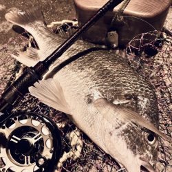 ヘチってきました