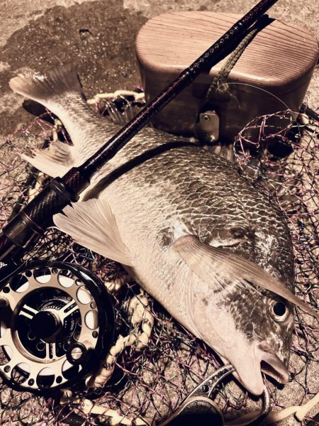 ヘチってきました