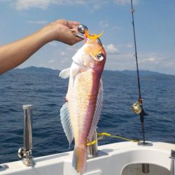 アマラバリベンジマッチ〜アルカディアⅡ〜